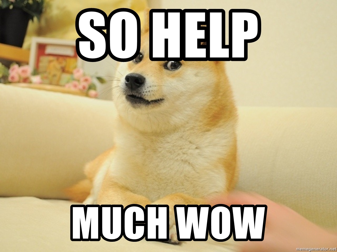 Picture of the help doge